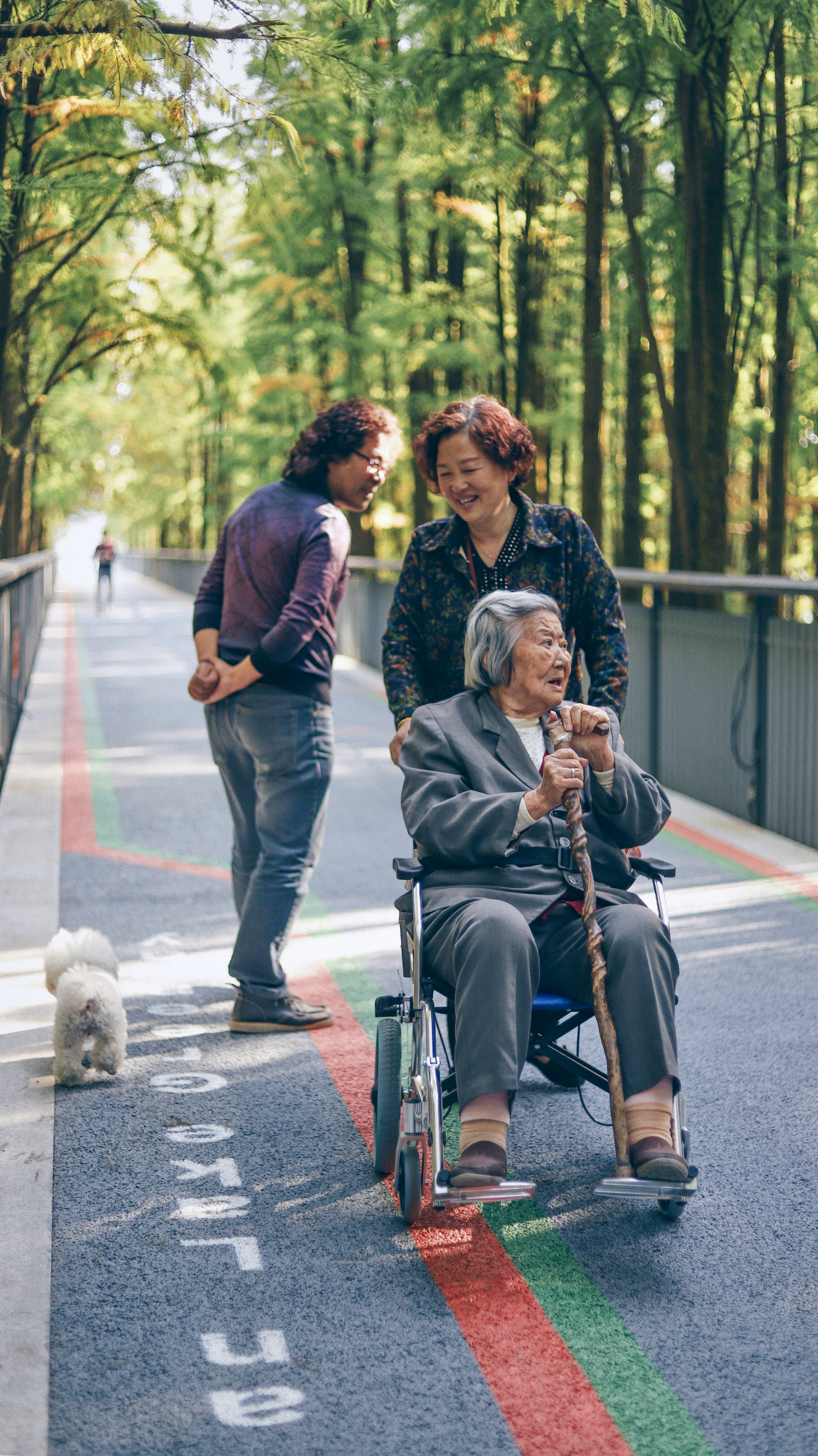 Adult day health care activities and community for seniors